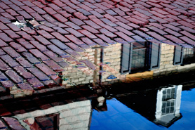 Photo by Bob Sutherland